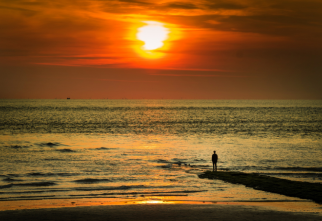 Caroline M's blog: Tempus Fugit