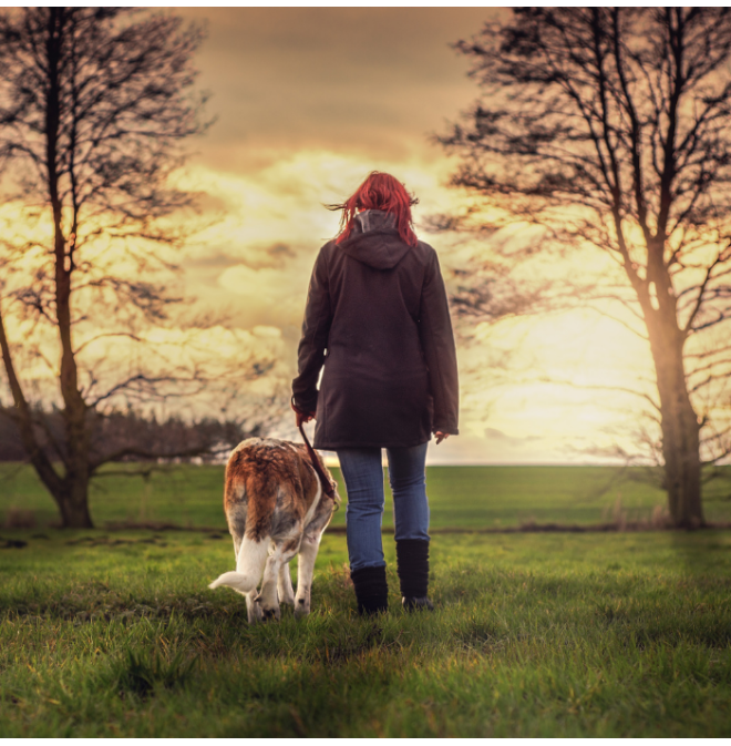 Barbara's blog: Puppy love...