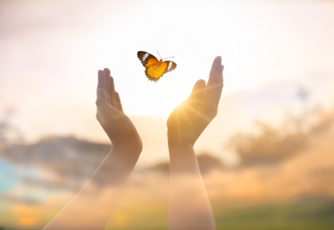 Anushka's blog: Small actions, big consequences
