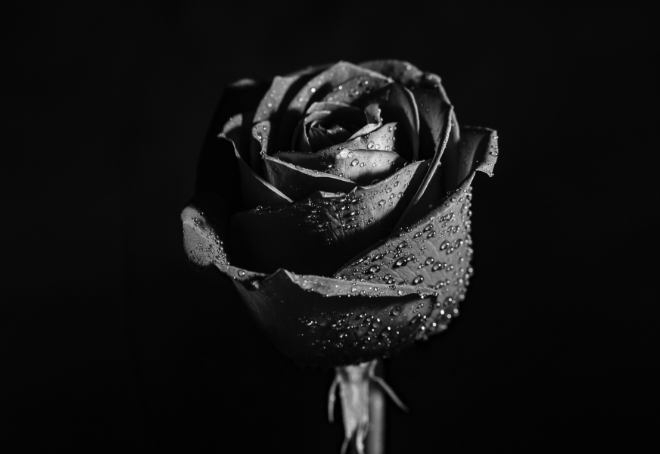Dolly's blog: When The Rain Stops