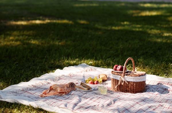 Sioux's blog: We’re All Going On A Summer Holiday… Or Are We?