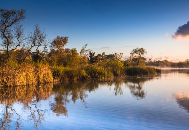 Uchenna's blog: Legacy Reflections