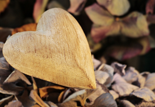 Linda’s blog: For This I Am Grateful 