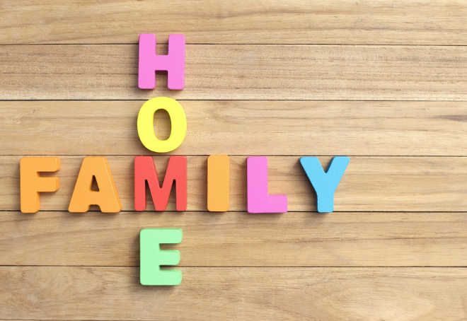 Jasmina's blog: The rise of the domestic pet-child