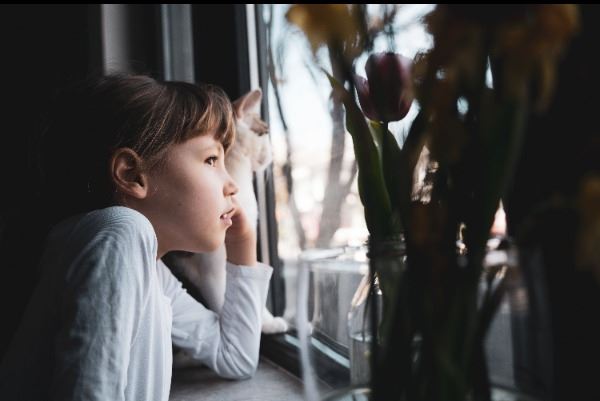 Sheila's blog: What Grief Teaches Us About Love and Connection